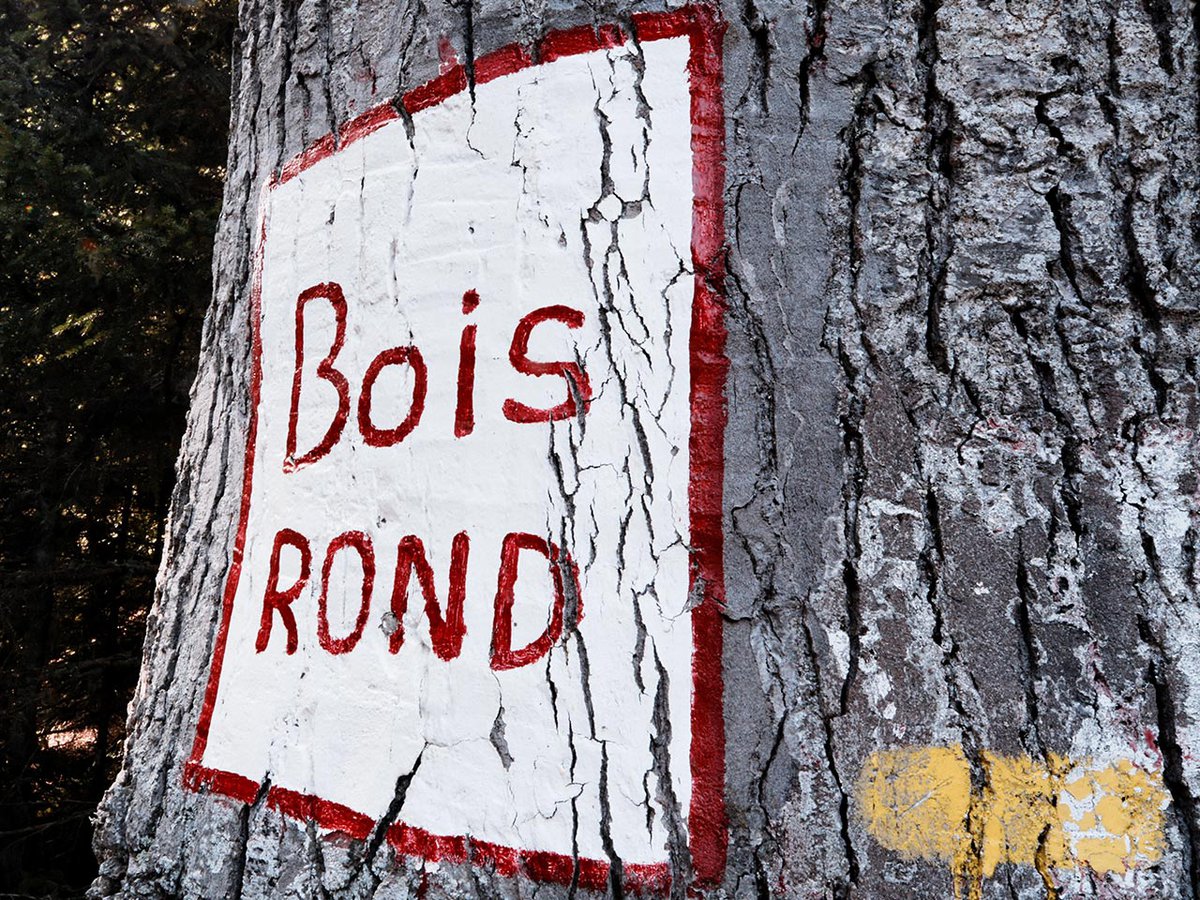 Bois Rond